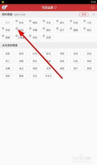 今日头条设置个性主页,今日头条带你探索独特自我风采”